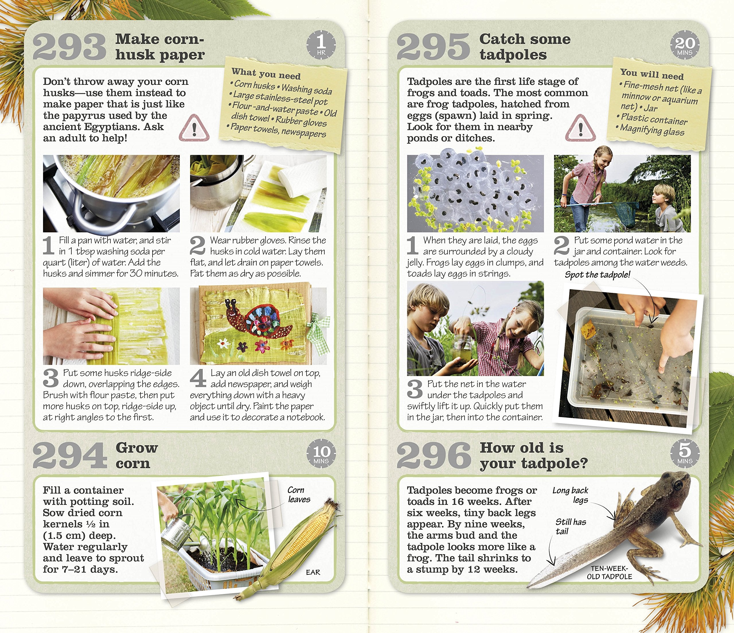 Great Things to Do Outside by Dorling Kindersley 6