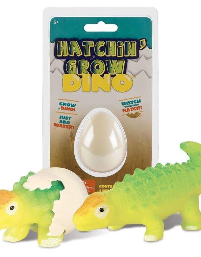 Hatchin Grow Dino by Toysmith