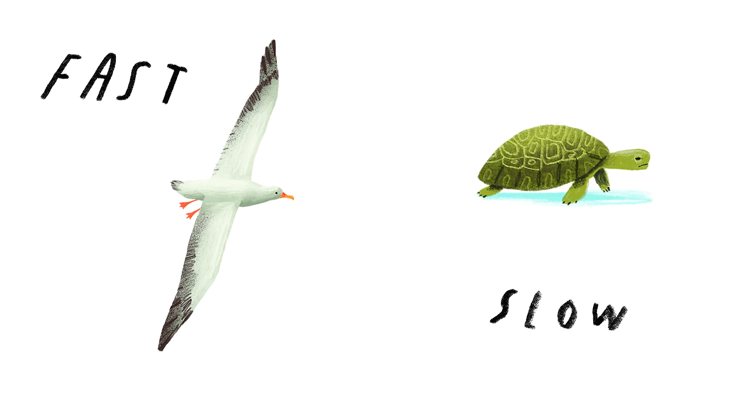 Here We Are Book of Opposites by Penguin Random House 5