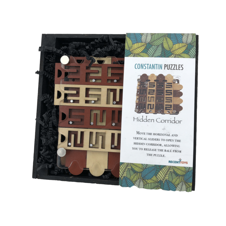 Hidden Corridor Puzzle by Project Genius