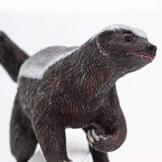 Honey Badger Figure by Safari 4
