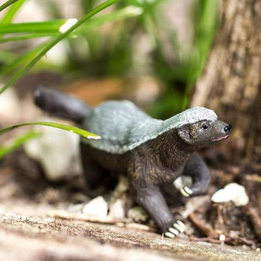 Honey Badger Figure by Safari 5