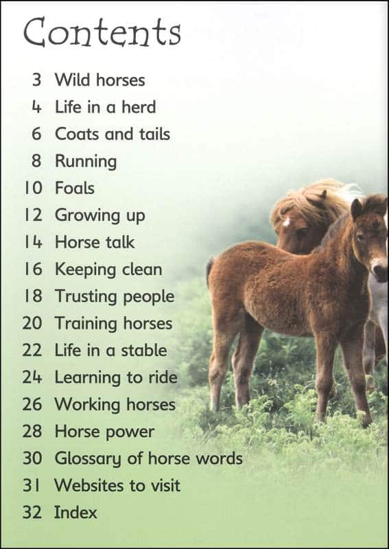 Horses And Ponies Usborne Beginners by Usborne 1