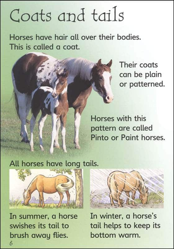 Horses And Ponies Usborne Beginners by Usborne 2