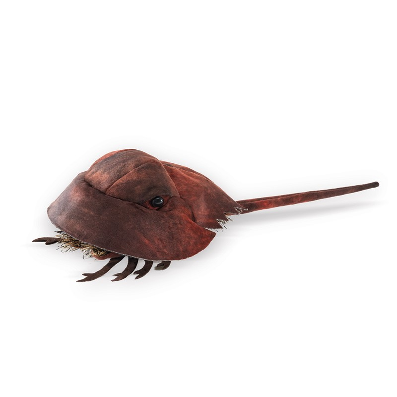 Horseshoe Crab Puppet-by-Folkmanis