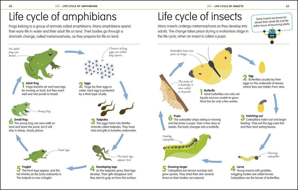 How to Be Good at Science Technology and Engineering by Dorling Kindersley 1