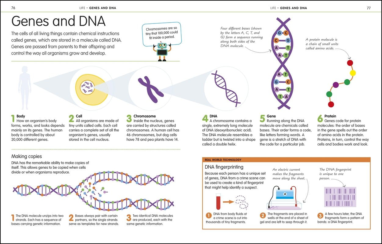 How to Be Good at Science Technology and Engineering by Dorling Kindersley 2