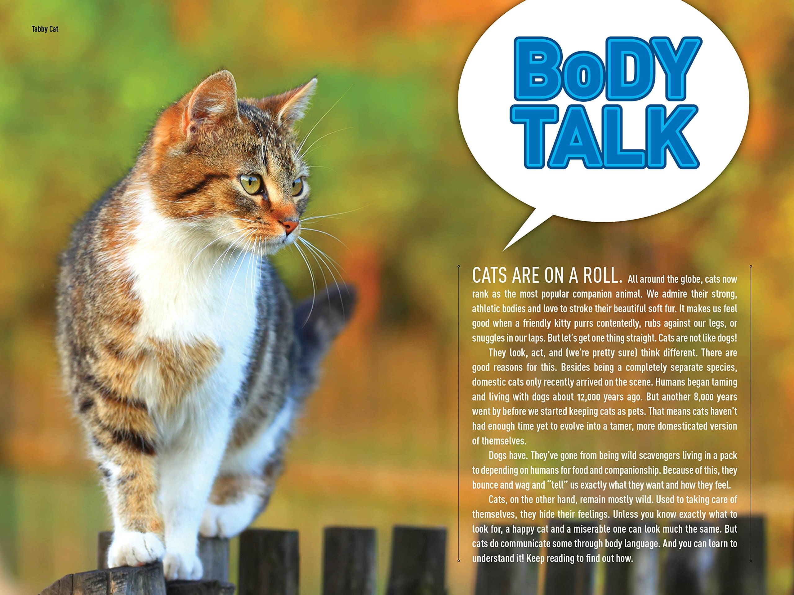 How to Speak Cat A Guide to Decoding Cat Language by Penguin Random House 1