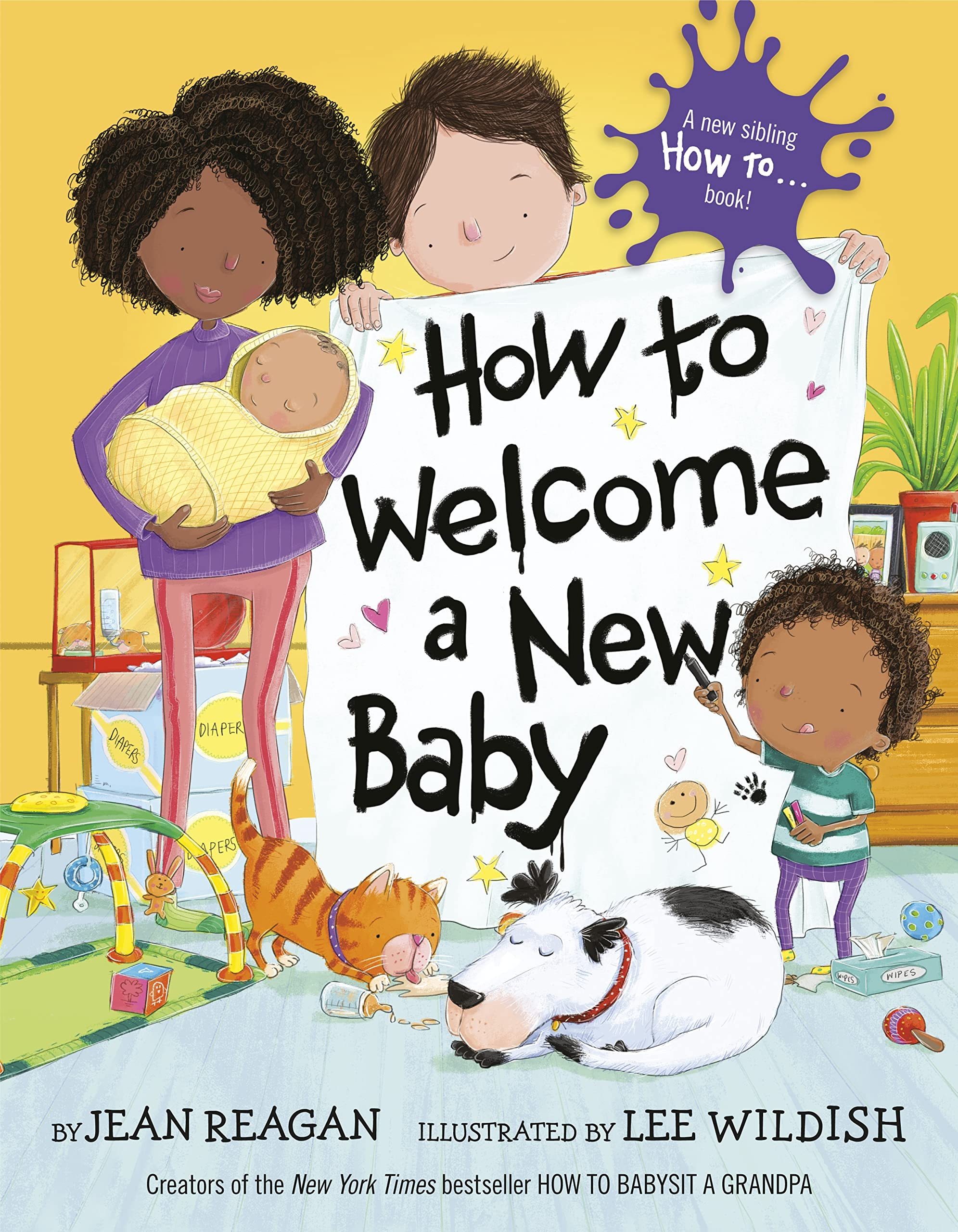 How to Welcome a New Baby by Random House