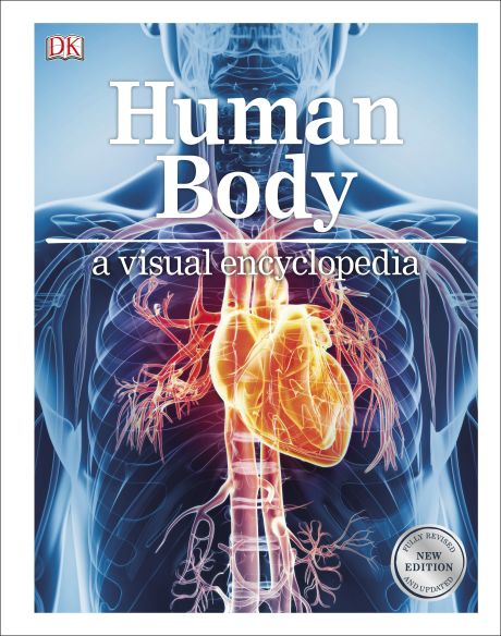 Human Body A Visual Encyclopedia by Dorling Kindersley