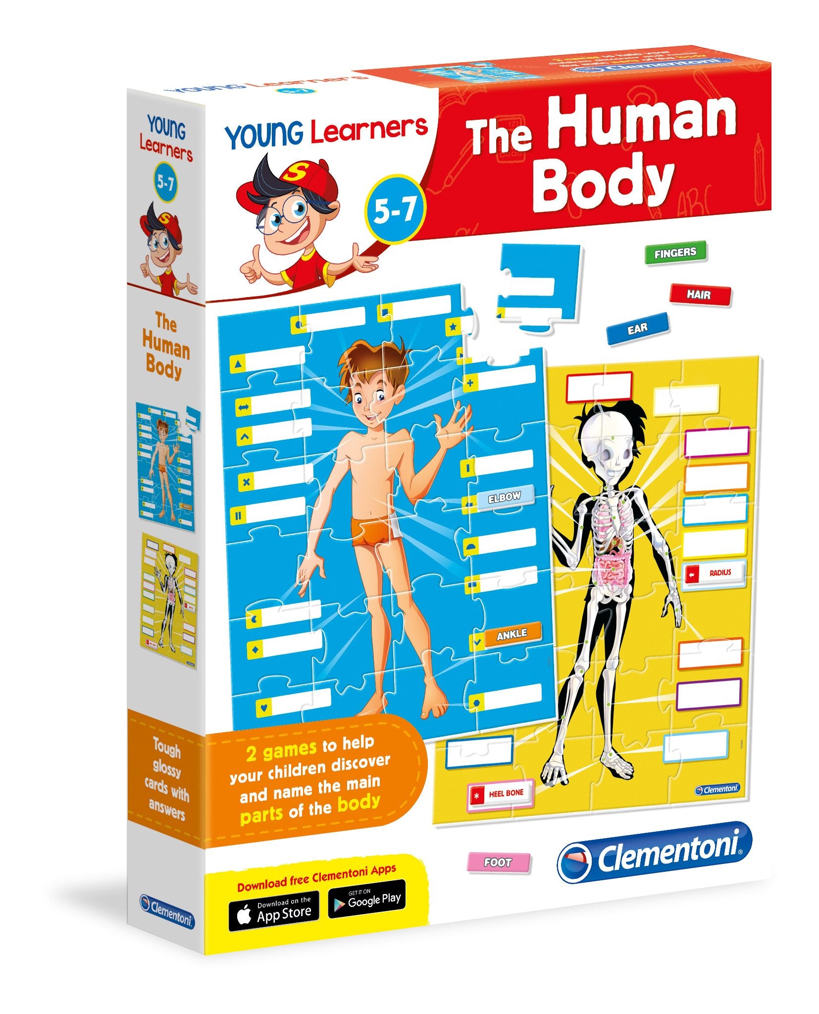 Human Body for Young Learners by Clementoni