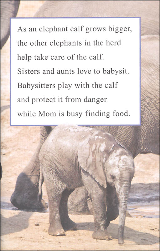 I Can Read Level 1 Ranger Rick I Wish I Was an Elephant by Harper Collins 3