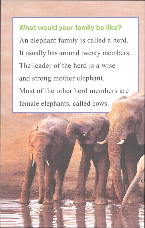 I Can Read Level 1 Ranger Rick I Wish I Was an Elephant by Harper Collins 4