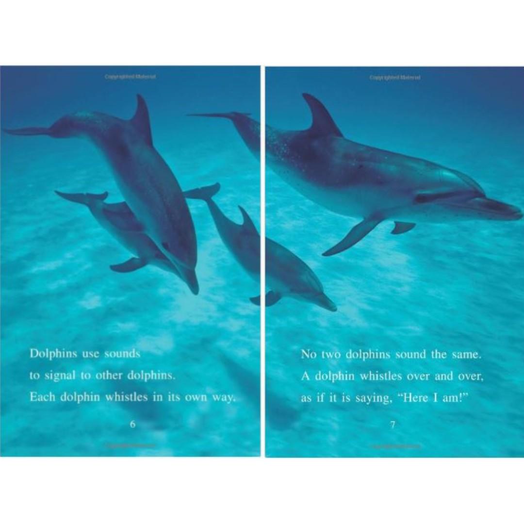 I Can Read Level 2 Amazing Dolphins by Harper Collins 2