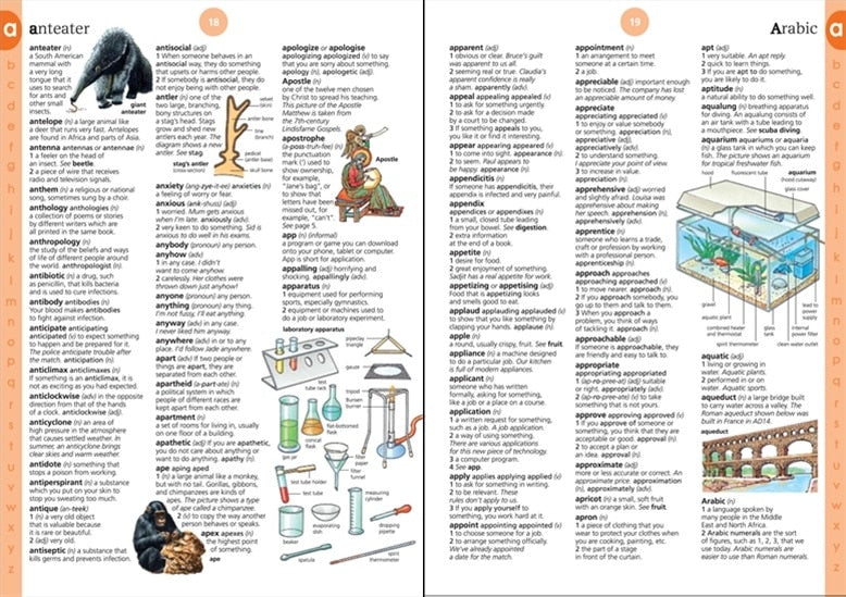 Illustrated Dictionary by Usborne 1