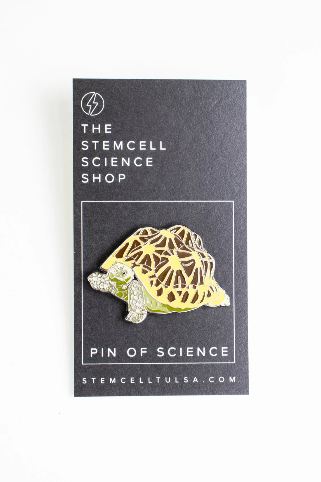 Indian Star Tortoise Pin-by-Stemcell Science