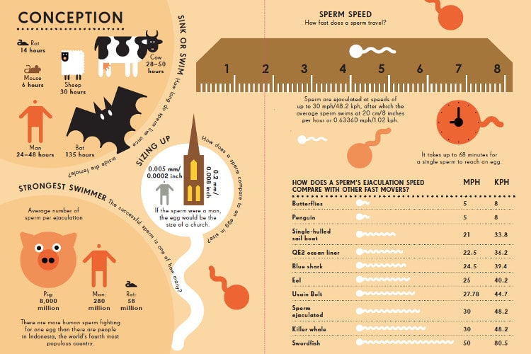 Information Graphics Human Body by Penguin Random House 2