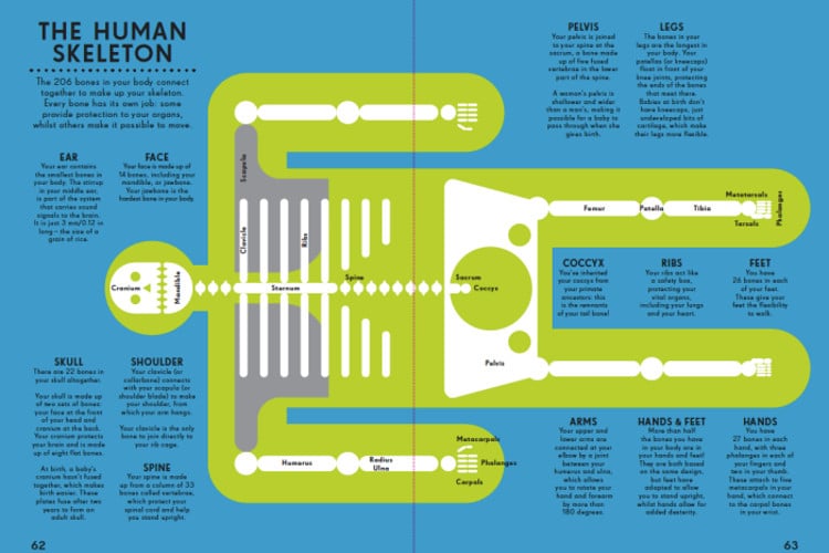 Information Graphics Human Body by Penguin Random House 4