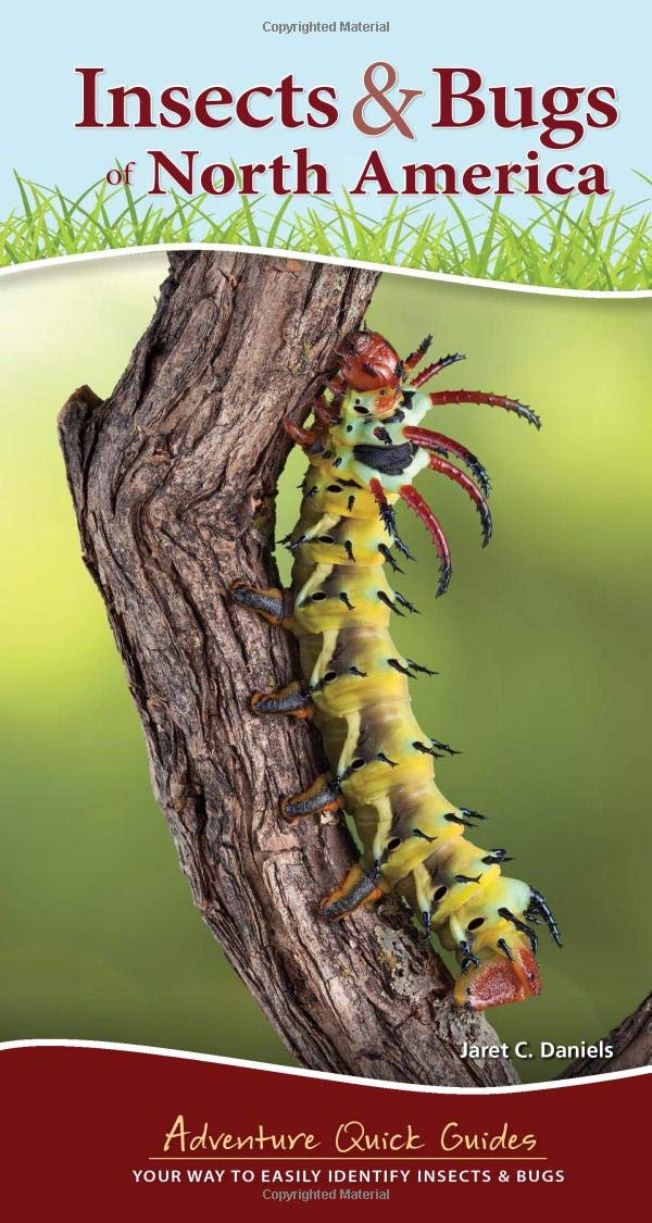 Insects Bugs of North America Your Way to Easily Identify Insects Bugs by Adventure Publications