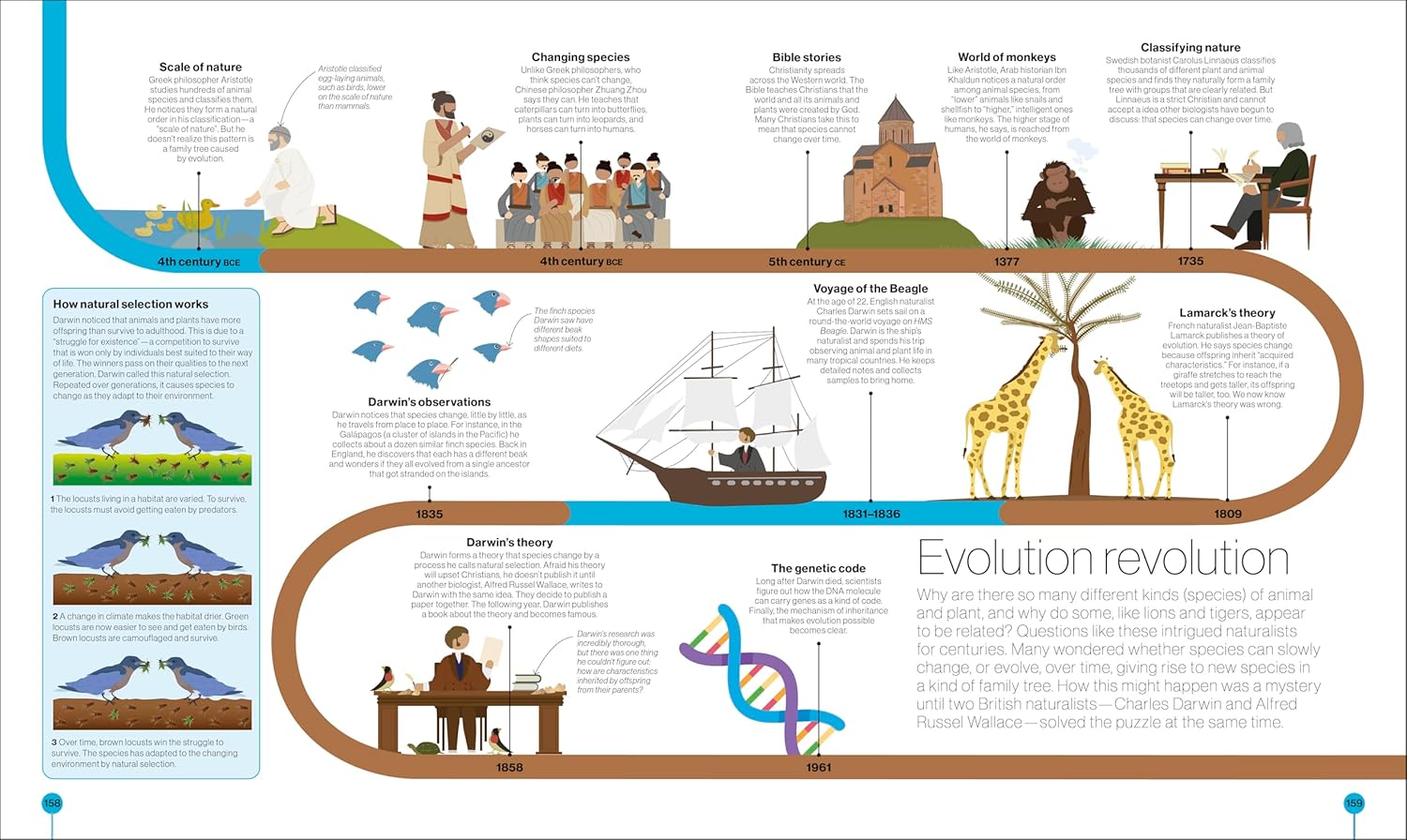 Timelines of Science: From Fossils to Quantum Physics by DK Publishing