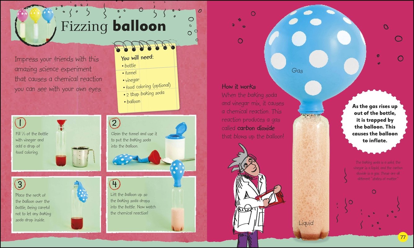 Junior Maker by Dorling Kindersley 4