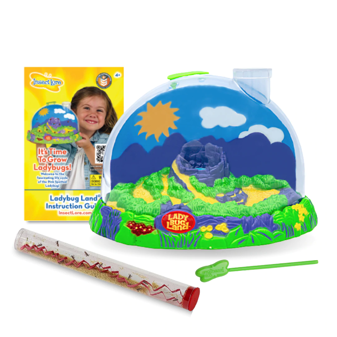 Ladybug Land by Insect Lore