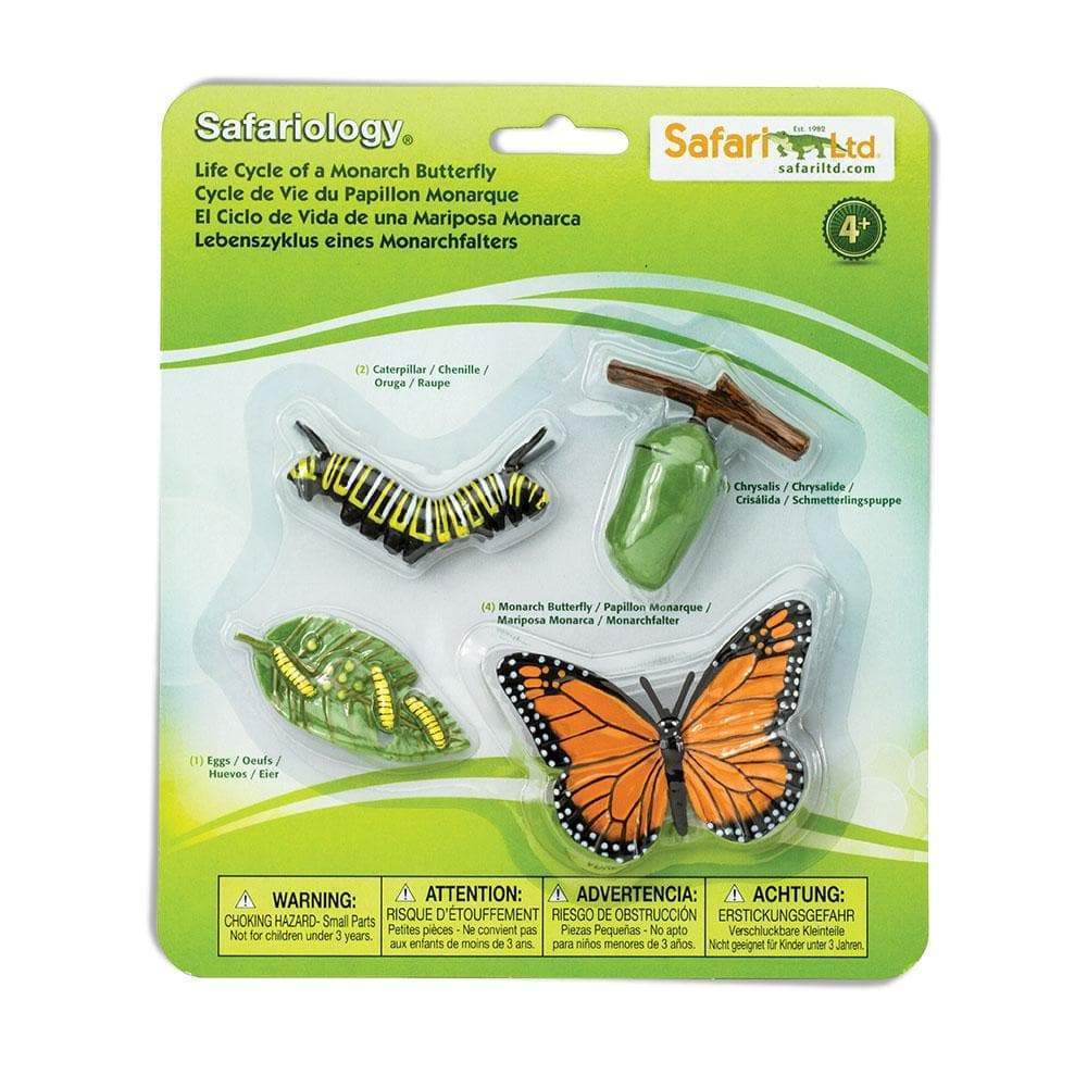 Life Cycle of a Monarch Butterfly by Safari