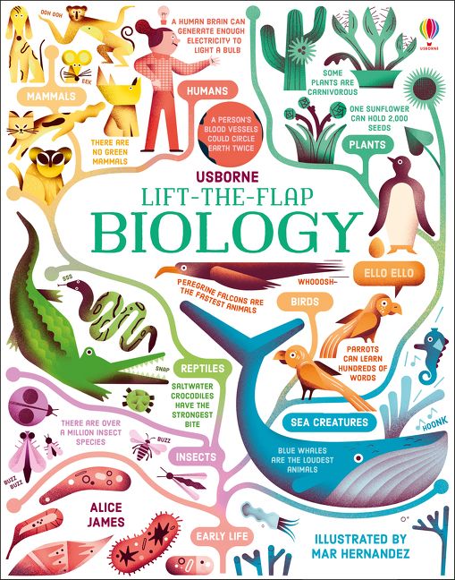 Lift-the-Flap Biology-by-Usborne