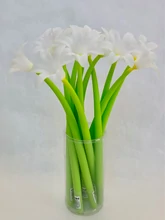 Lily Color Changing Gel Pen by BC USA 2