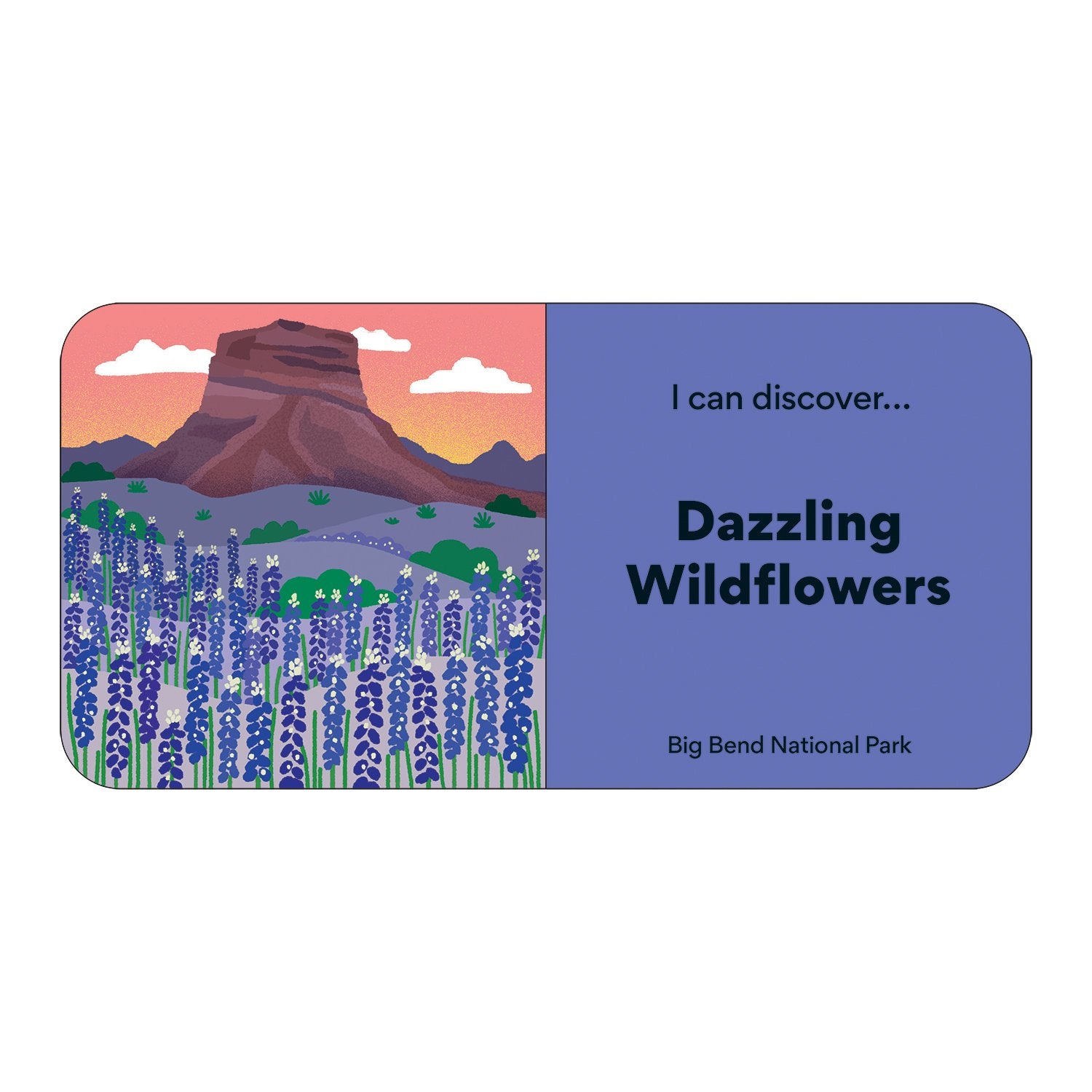 Little Park Ranger Board Book Set by Mudpuppy 3