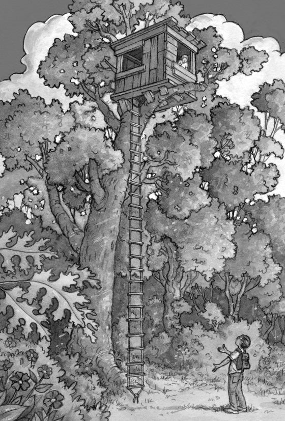 Magic Tree House 1 Dinosaurs Before Dark by Penguin Random House 3