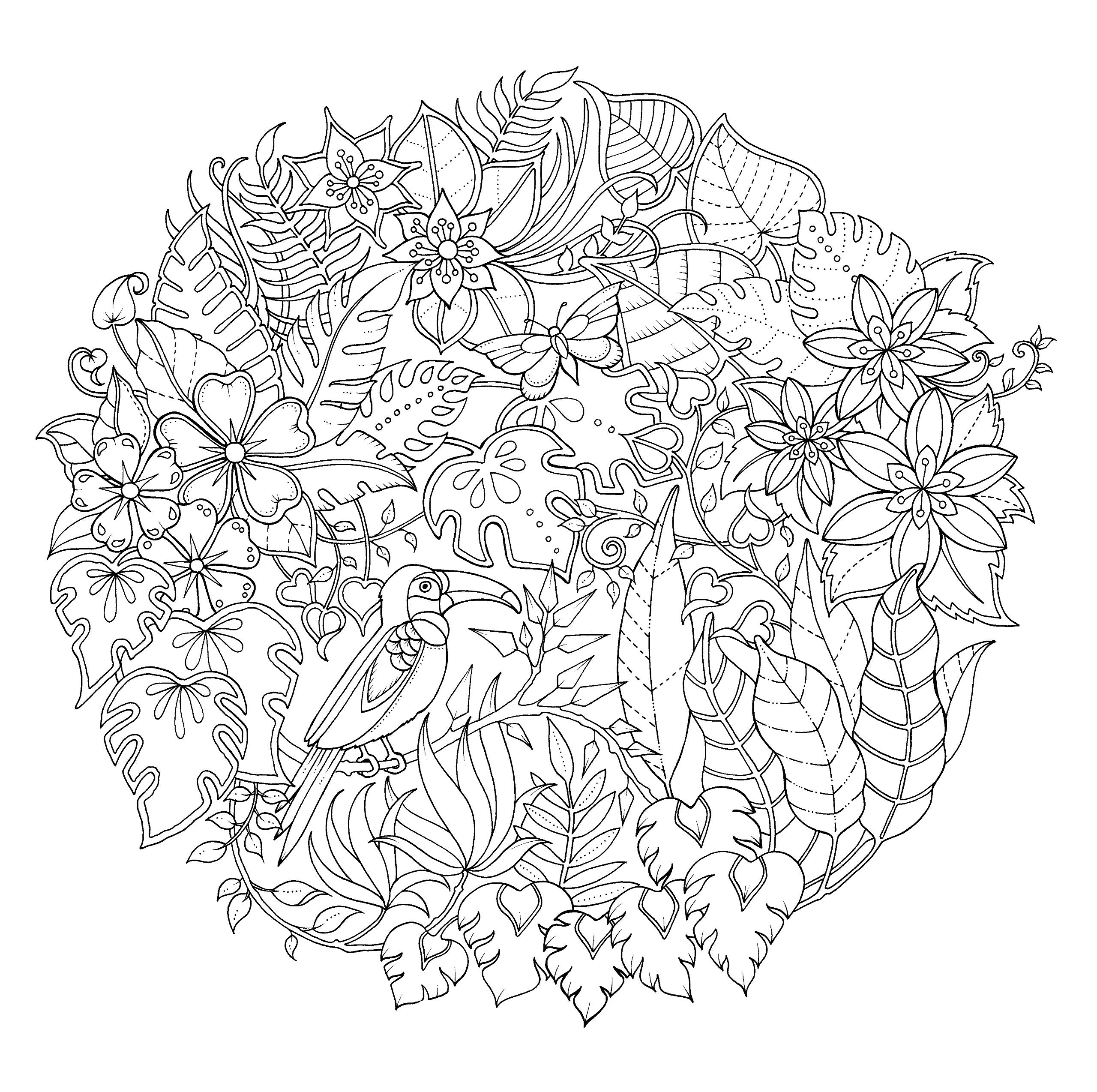 Magical Jungle An Inky Expedition and Coloring Book for Adults by Penguin Random House 2