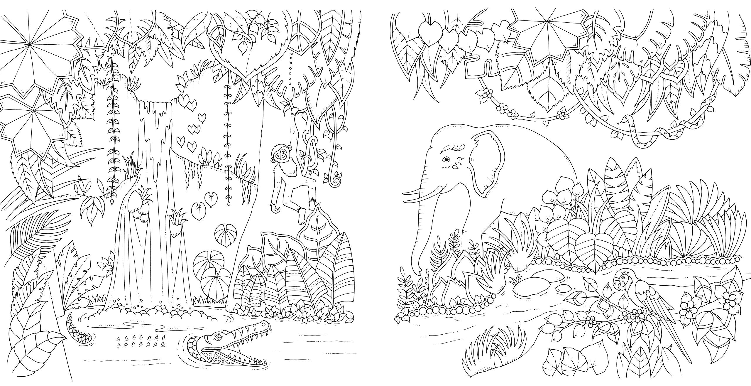 Magical Jungle An Inky Expedition and Coloring Book for Adults by Penguin Random House 7