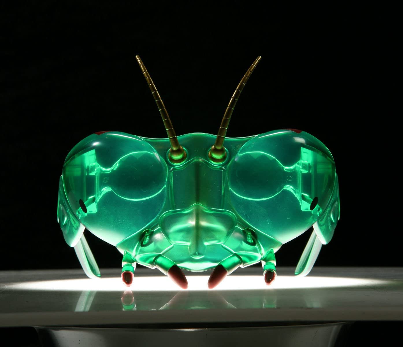 Mantis Buzzerks Bug Goggles by Insect Lore 2