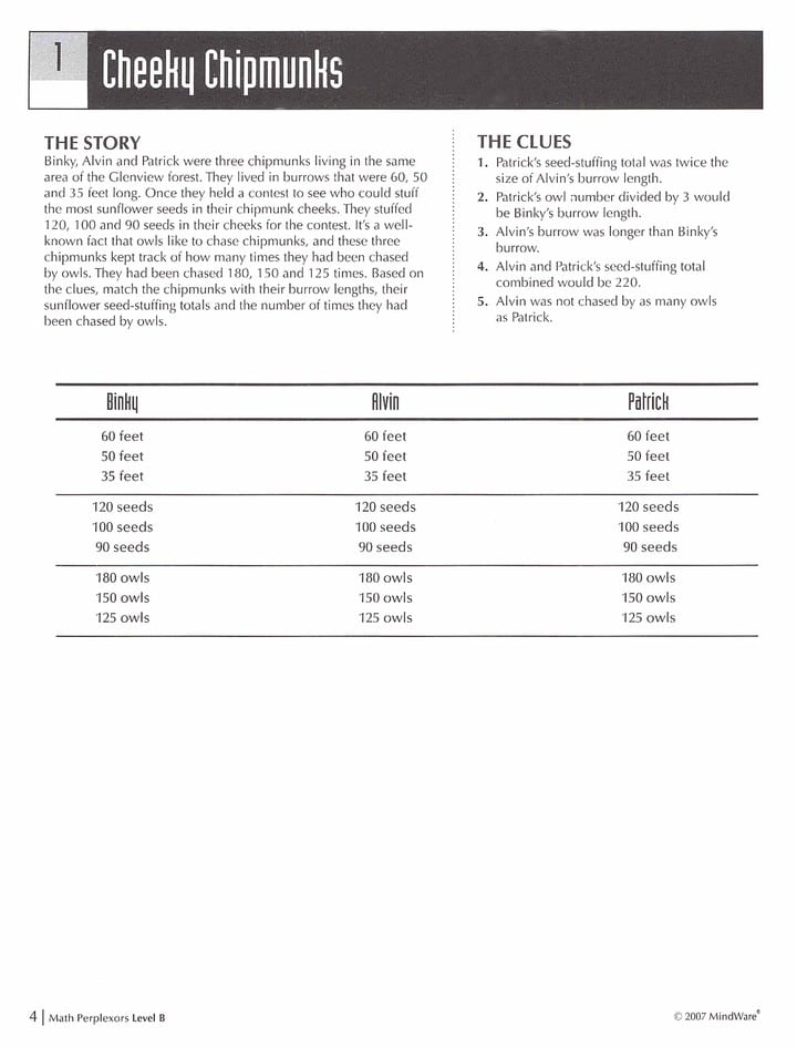 Math Perplexors Level B by MindWare 1