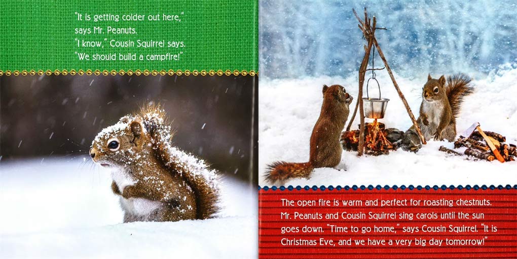 Squirrels!-by-Little Brown