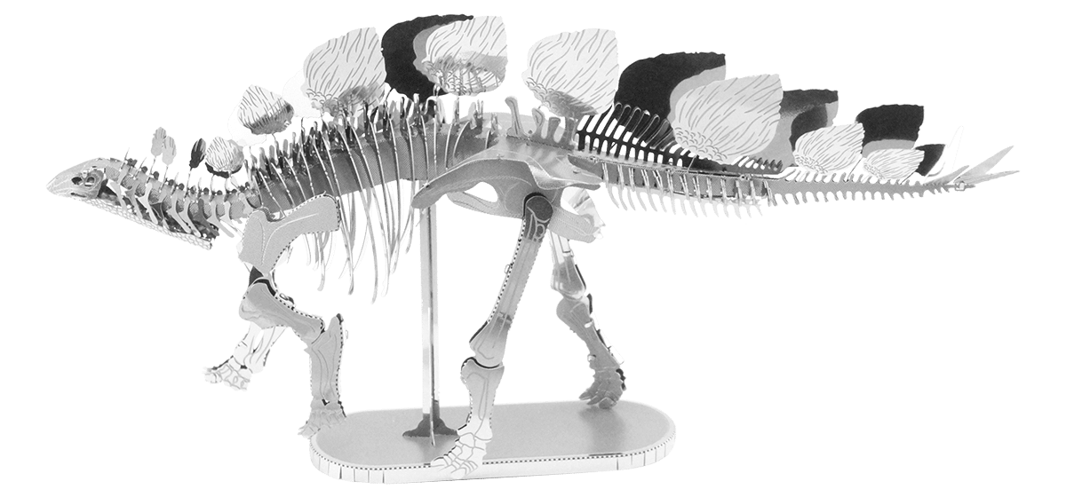 Metal Earth Stegosaurus Skeleton by Fascinations 1