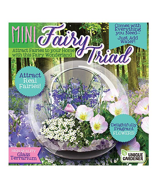 Mini Fairy Triad Terrarium by Dunecraft