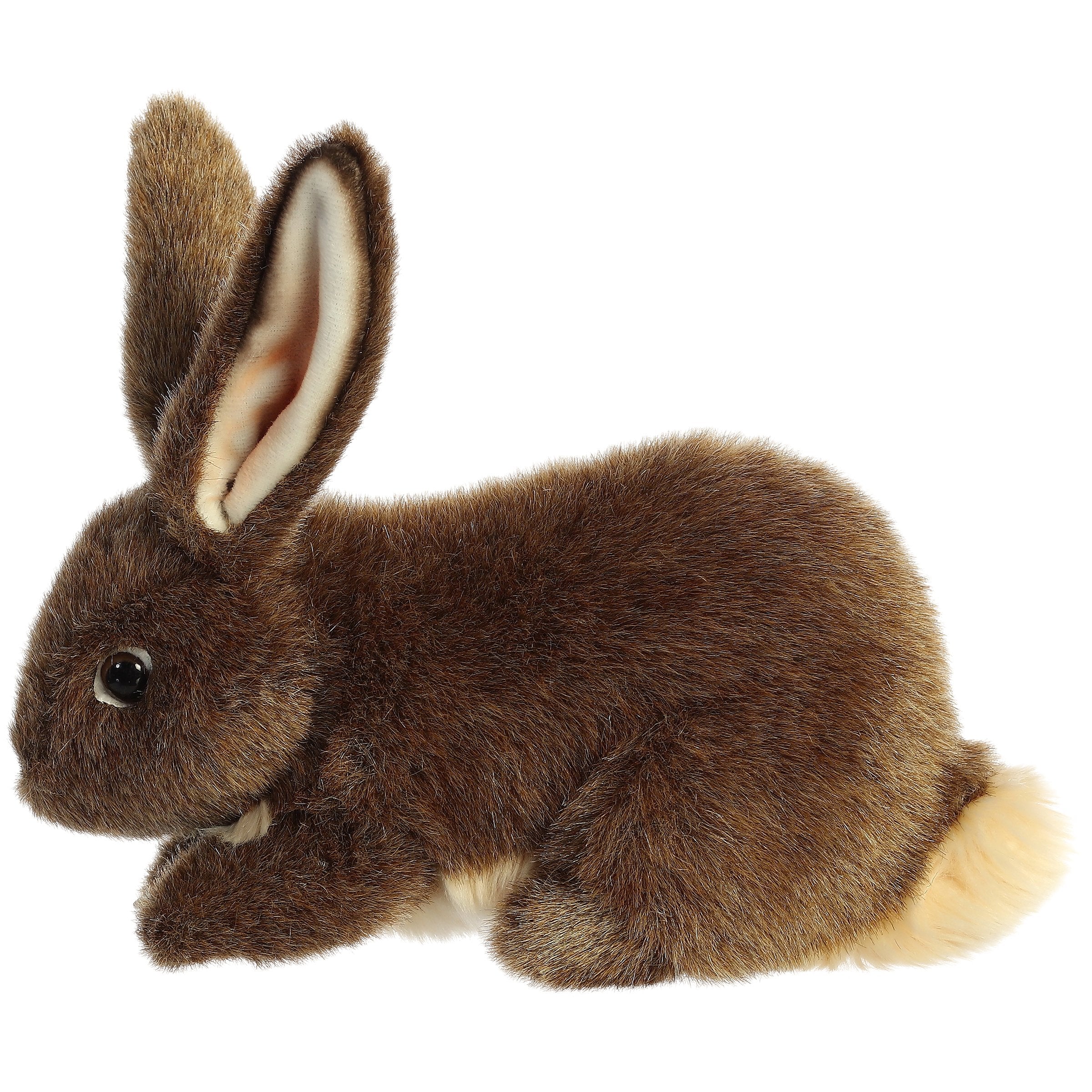 Miyoni Flemish Rabbit 10 by Aurora 4