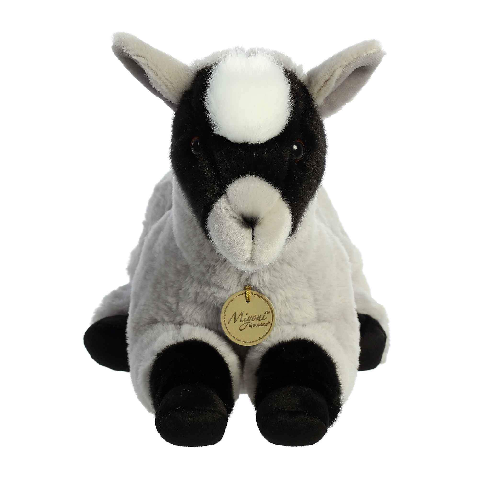 Miyoni Pygmy Goat 13 by Aurora 1