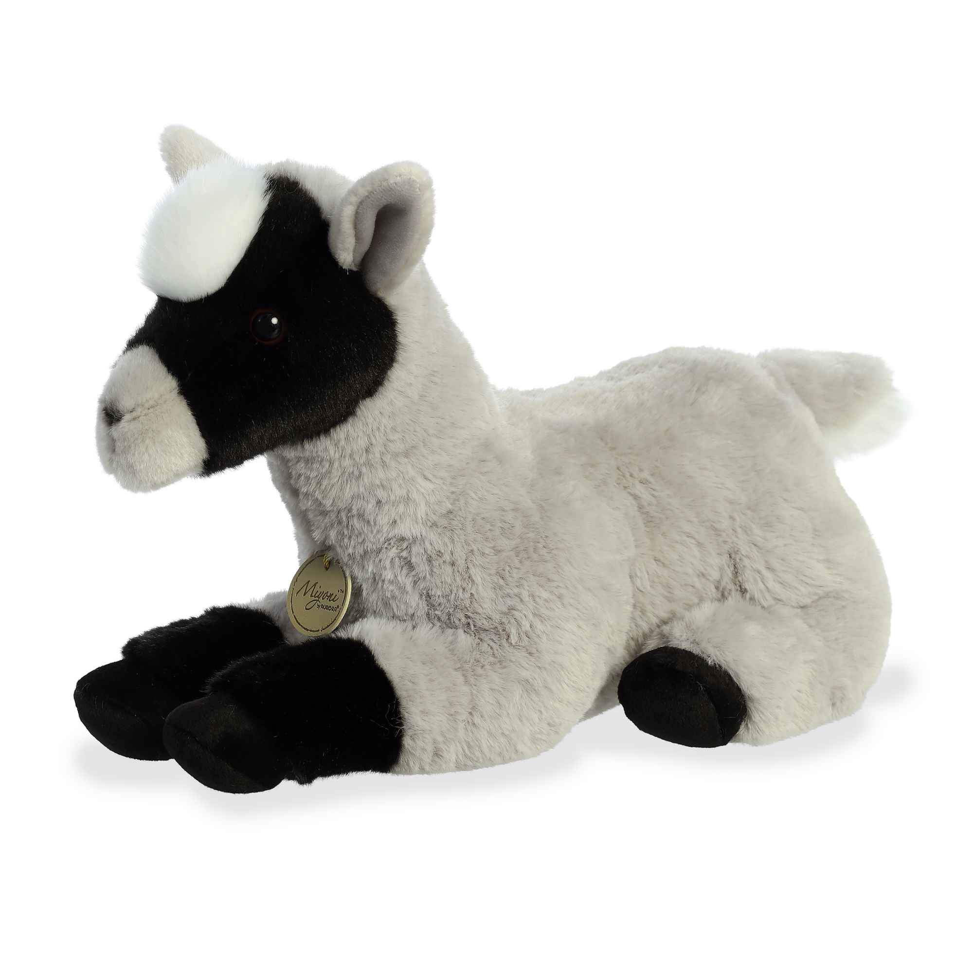 Miyoni Pygmy Goat 13 by Aurora 4