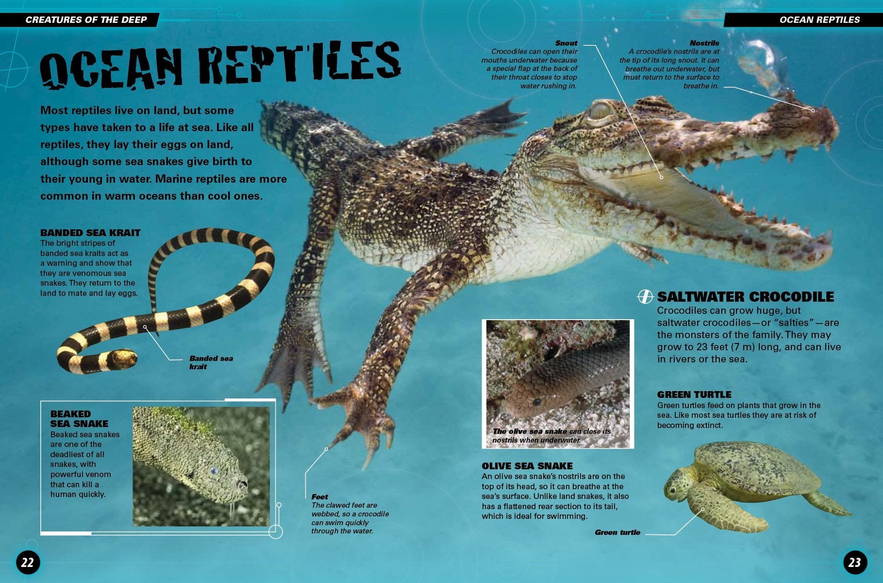 Monsters of the Deep by Firefly Books 1