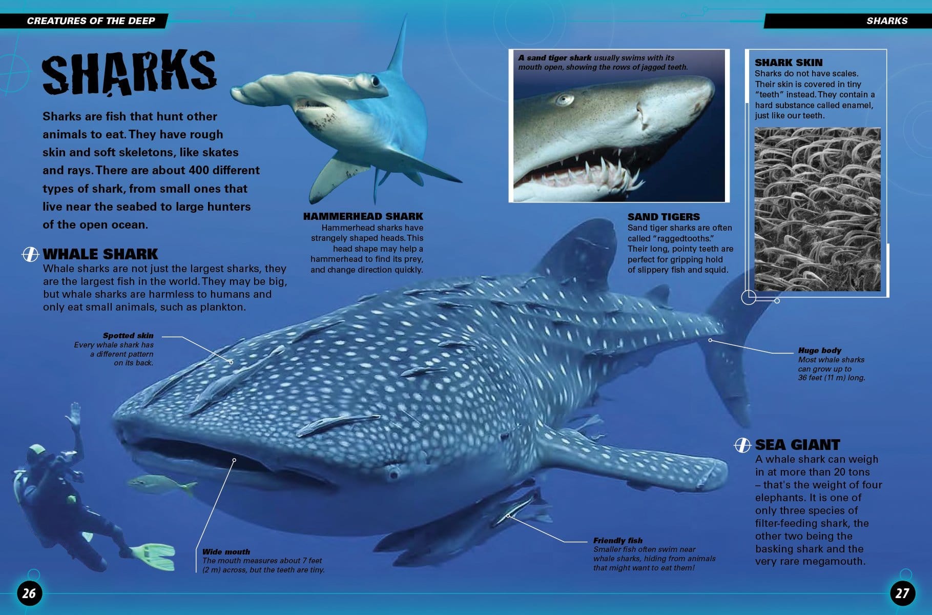 Monsters of the Deep by Firefly Books 3