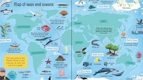 My Very First Seas and Oceans Book by Usborne 4