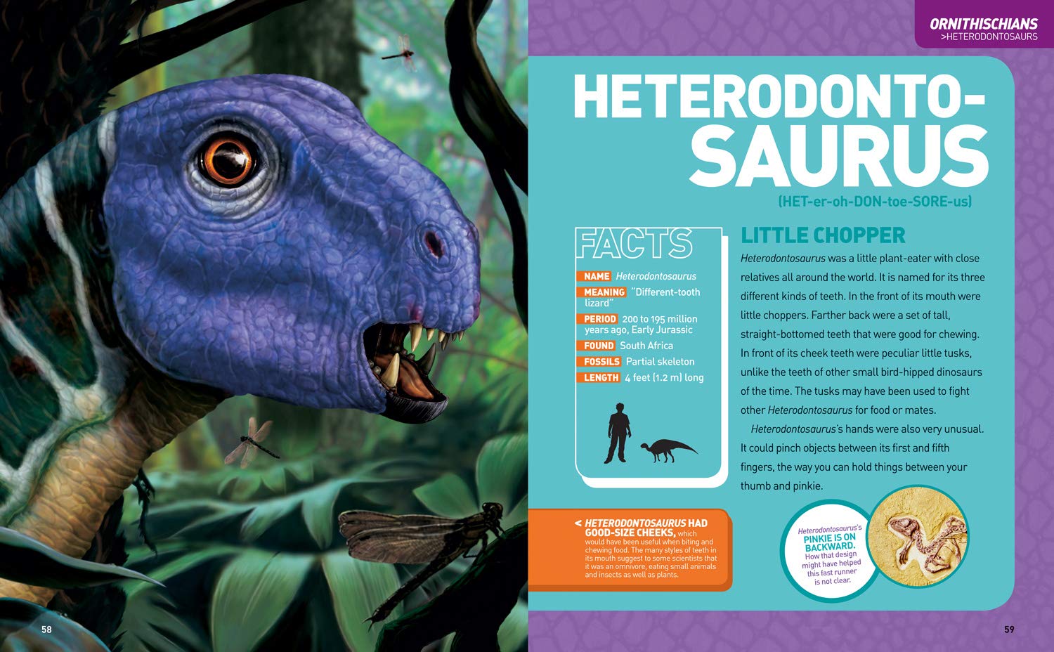 National Geographic Kids Ultimate Dinopedia by Penguin Random House 2