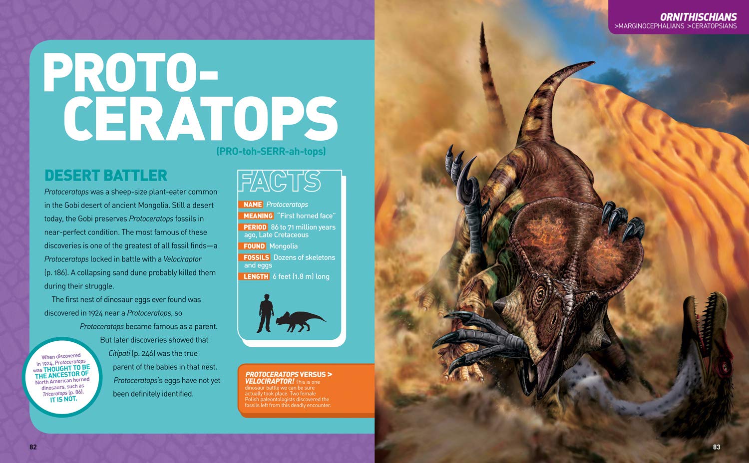 National Geographic Kids Ultimate Dinopedia by Penguin Random House 3