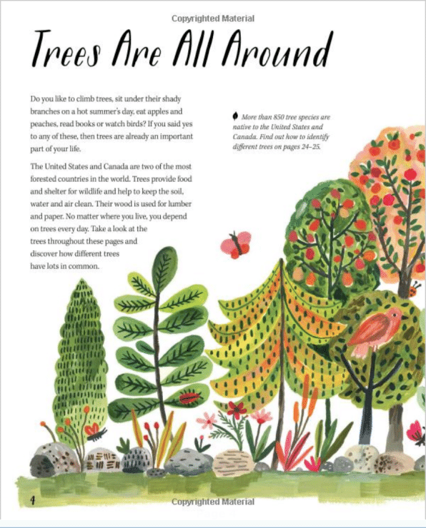 Nature All Around Trees by Kids Can Press 1