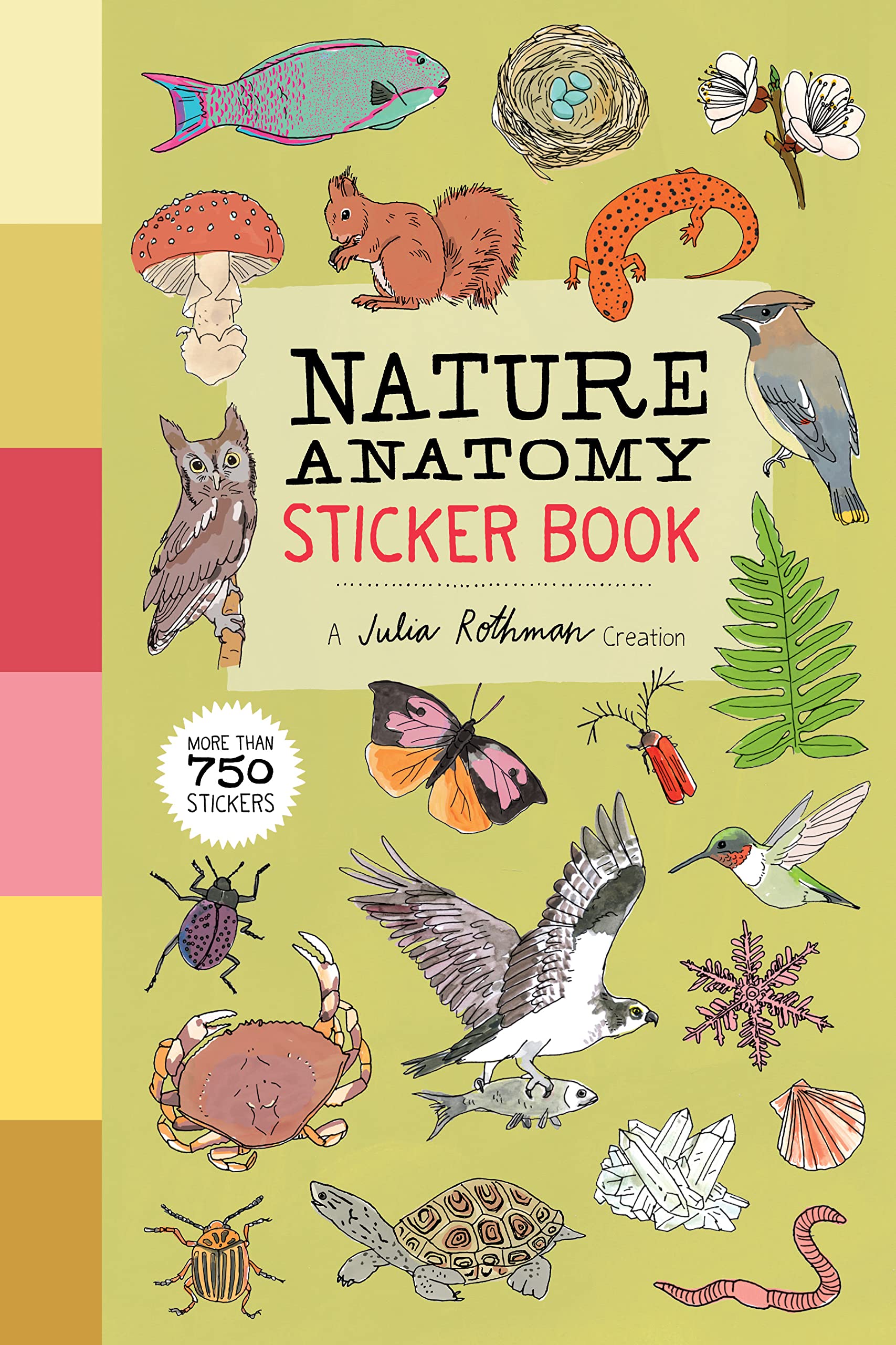Nature Anatomy Sticker Book-by-Workman Publishing