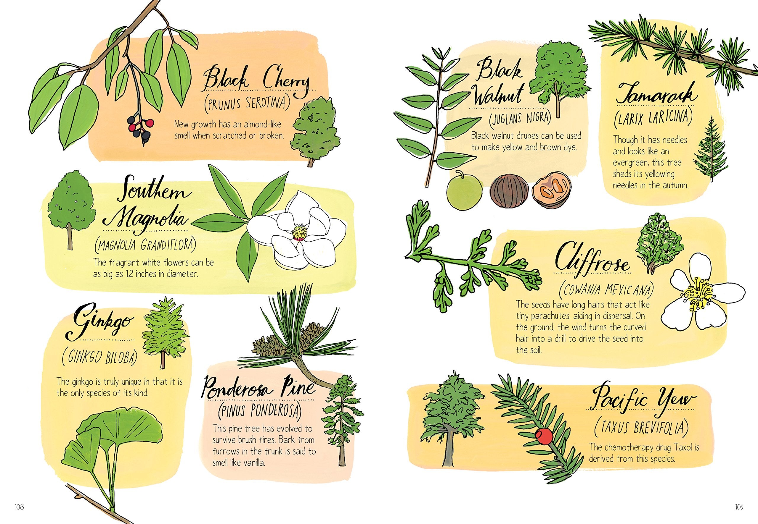 Nature Anatomy The Curious Parts and Pieces of the Natural World by Workman 4