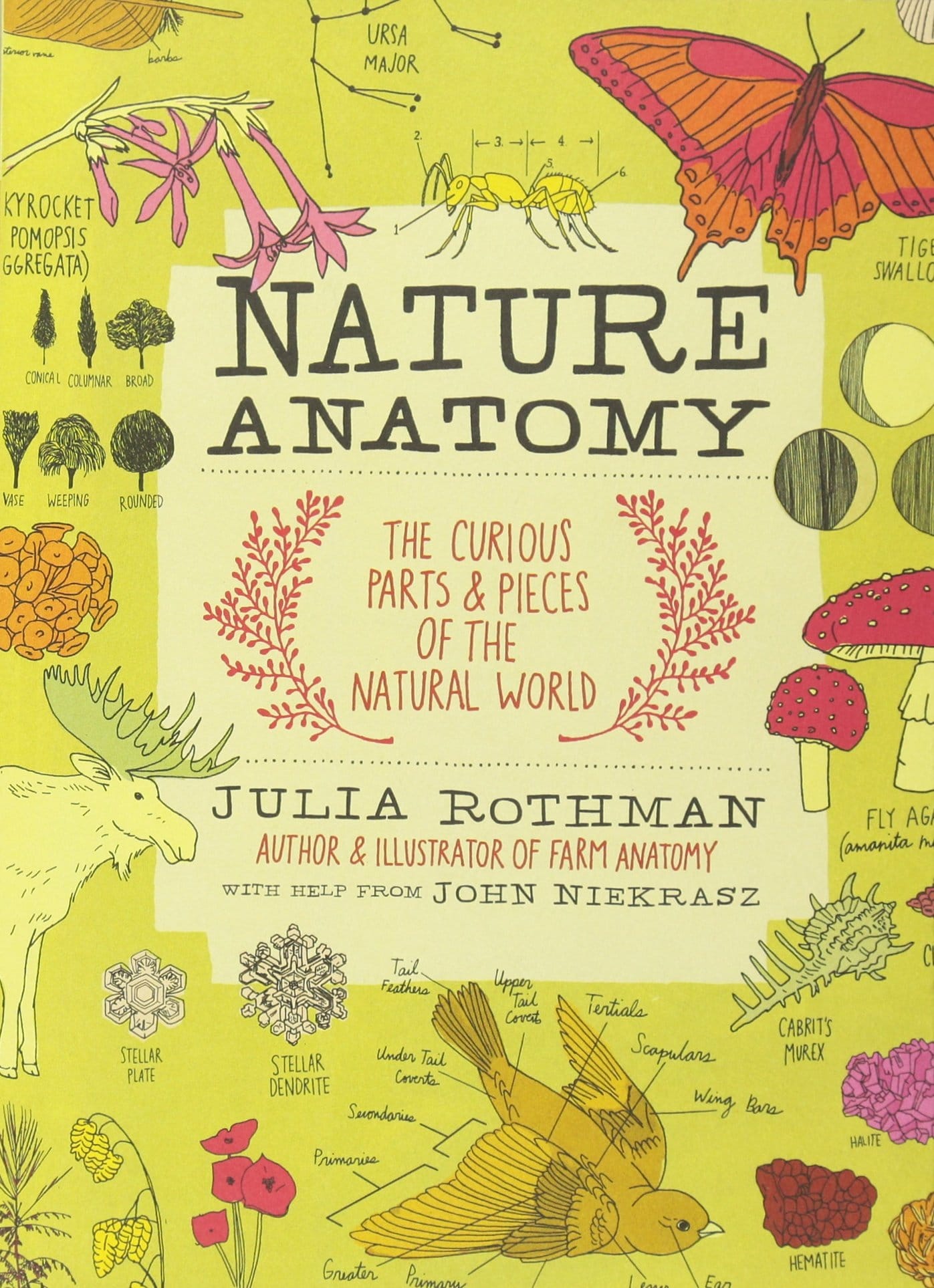Nature Anatomy The Curious Parts and Pieces of the Natural World by Workman